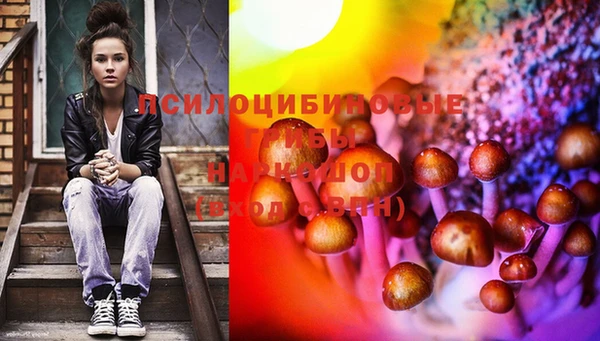 MESCALINE Аркадак