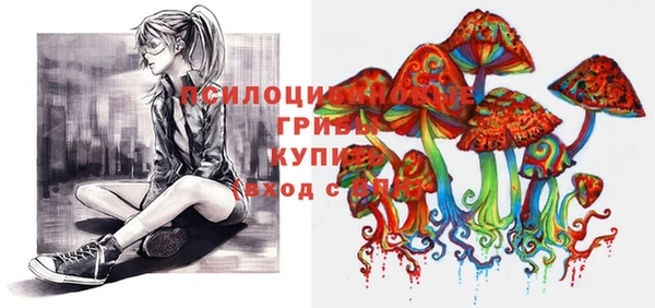 дмт Армянск