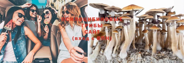 дмт Армянск
